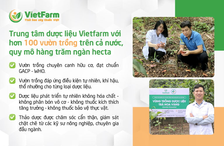 Trung tâm dược liệu Vietfarm sở hữu vườn trồng đạt chuẩn GACP