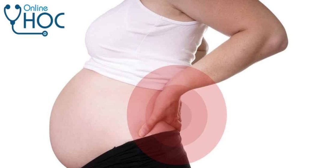 Nguyên nhân gây đau lưng và cách giảm đau cực kỳ hiệu quả mẹ bầu nên áp dụng ngay