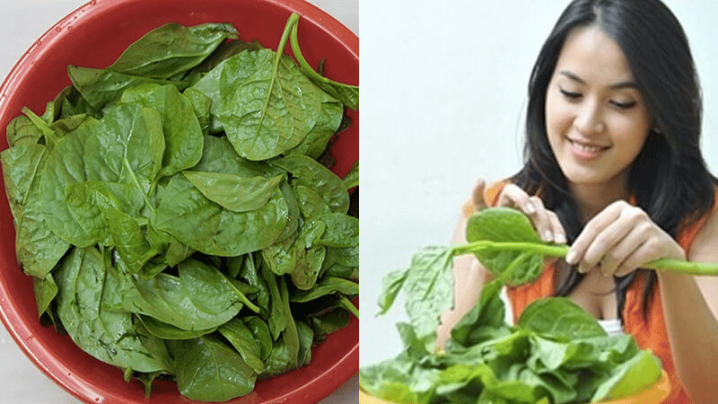 Những ‘đại kỵ’ khi ăn canh rau mồng tơi mùa hè người Việt thường mắc phải, cần bỏ ngay nếu không sẽ gây hại cho sức khỏe